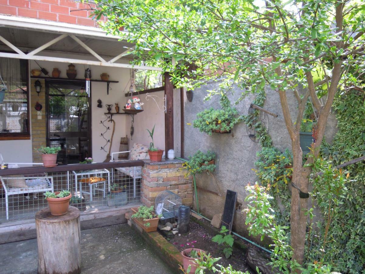 Angie'S Shared Villa Tam Тирана Екстериор снимка