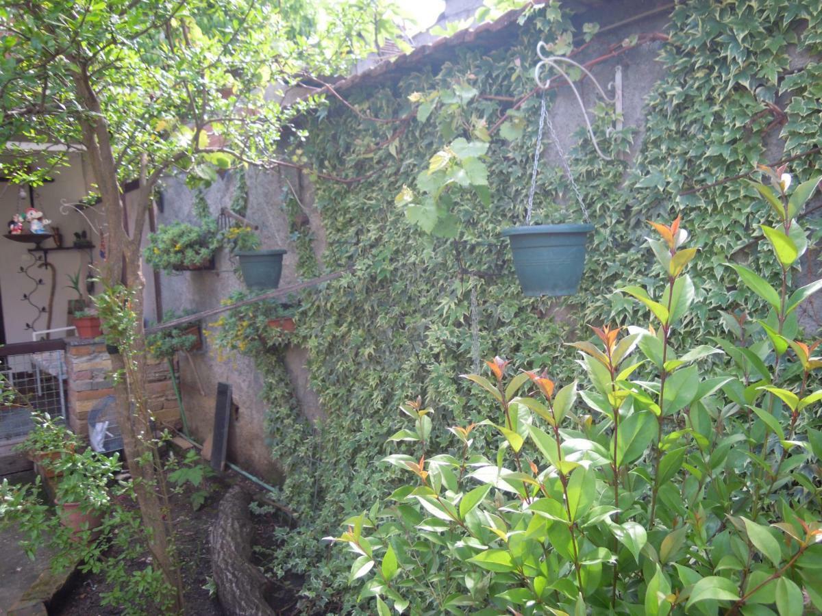 Angie'S Shared Villa Tam Тирана Екстериор снимка