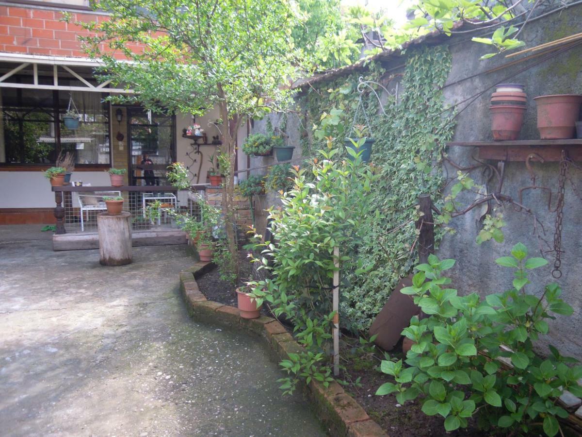 Angie'S Shared Villa Tam Тирана Екстериор снимка